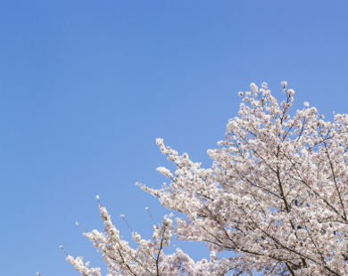 4月