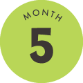 5月