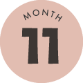 11月
